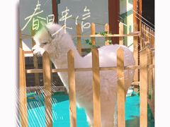 -零陵古城