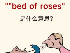 -新航道雅思托福·留学·考研培训(人民广场校区)