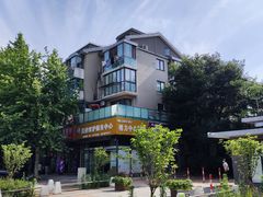 -大华梧桐墅大公馆