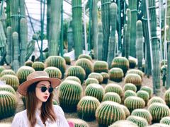 -南山植物园