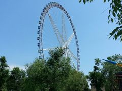 -哈尔滨文化公园