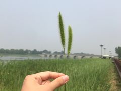 -卢沟桥文化旅游区