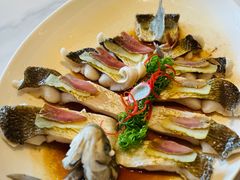 酒蒸武昌鱼-富力威斯汀酒店-中国元素中餐厅(武昌临江店)