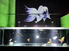 -邯郸海洋世界