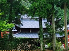 -玉苍山国家森林公园
