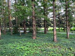 -国家植物园南园