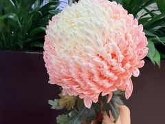 -必胜客(白广路店)