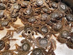 -欢乐牧场海鲜烤肉自助(牡丹园店)