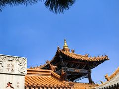 -大召无量寺