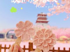 -古柏渡丰乐樱花园