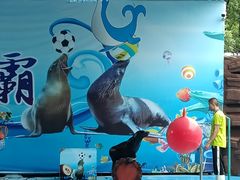 -荆州中山公园动物园