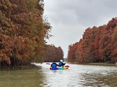 -上海海湾国家森林公园