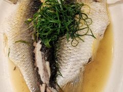 油盐蒸皖鱼-大欢喜饭店(江怡路店)