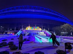 -沈阳奥体冰雪嘉年华
