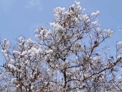 -青州市云门山风景区