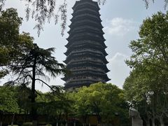 -红梅公园