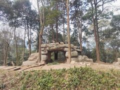 -中国大熊猫保护研究中心雅安碧峰峡基地