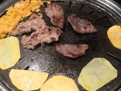 -韩味园果木炭烤鲜肉(陵东街店)