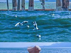 -滇池海埂公园