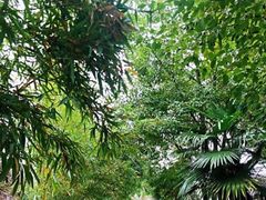-观唐（国际）度假村温泉