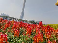 -海心沙亚运公园