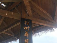 -北海金海湾红树林生态旅游区