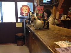 探路者国际青年旅舍-武汉探路者国际青年旅舍