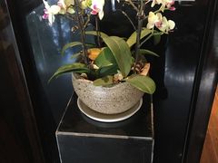 -大唐盲人按摩中心(黄山路店)