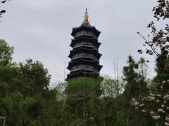 -重庆园博园