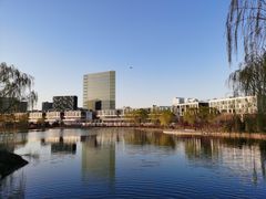 -大兴滨河森林公园