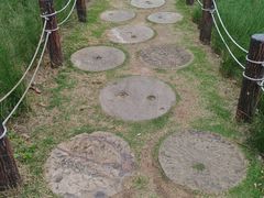 -红花山公园