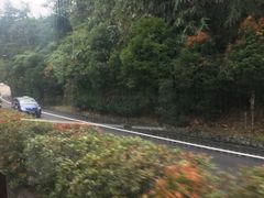 -云顶高原