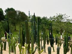 -东莞植物园