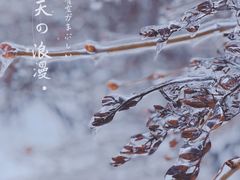 -群力丁香公园