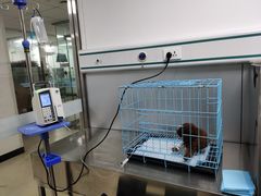 -特一安24小时宠物医院·骨科·中兽医