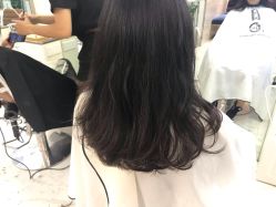 点击看大图 -潘多拉Hairsalon