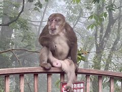 -峨眉山风景名胜区