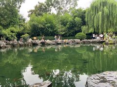 -趵突泉景区