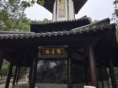 -上海佘山国家森林公园天马山园