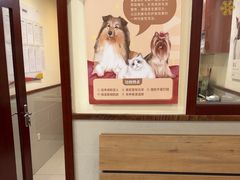 -艾贝尔宠物医院·24H转诊中心·肿瘤猫专科(江宁双龙店)