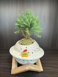 -DK SALON连锁专业烫染接发店