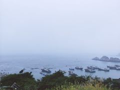 -枸杞岛