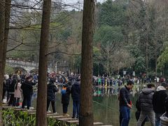 -重庆彩云湖湿地公园