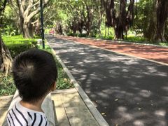 -南宁南湖公园