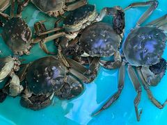 -蟹天蟹地农家菜·阳澄湖大闸蟹(浅水湾店)