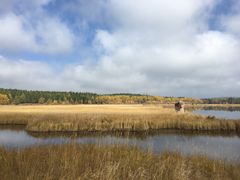 -塞罕坝国家级自然保护区