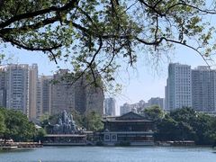 -荔湾湖公园