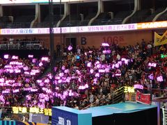 -宝能国际体育演艺中心