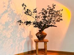 -巴巴新生活·四合院会议·疗愈团建.品牌活动