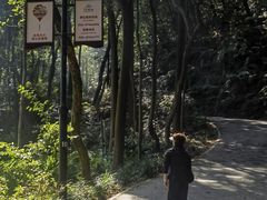 -广州市帽峰山景区